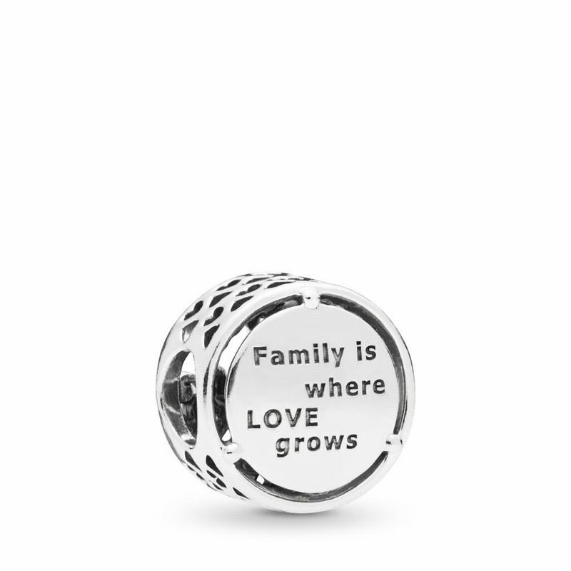 Pandora Family Roots Charm Ireland - Sterling Silver - 175302XYK